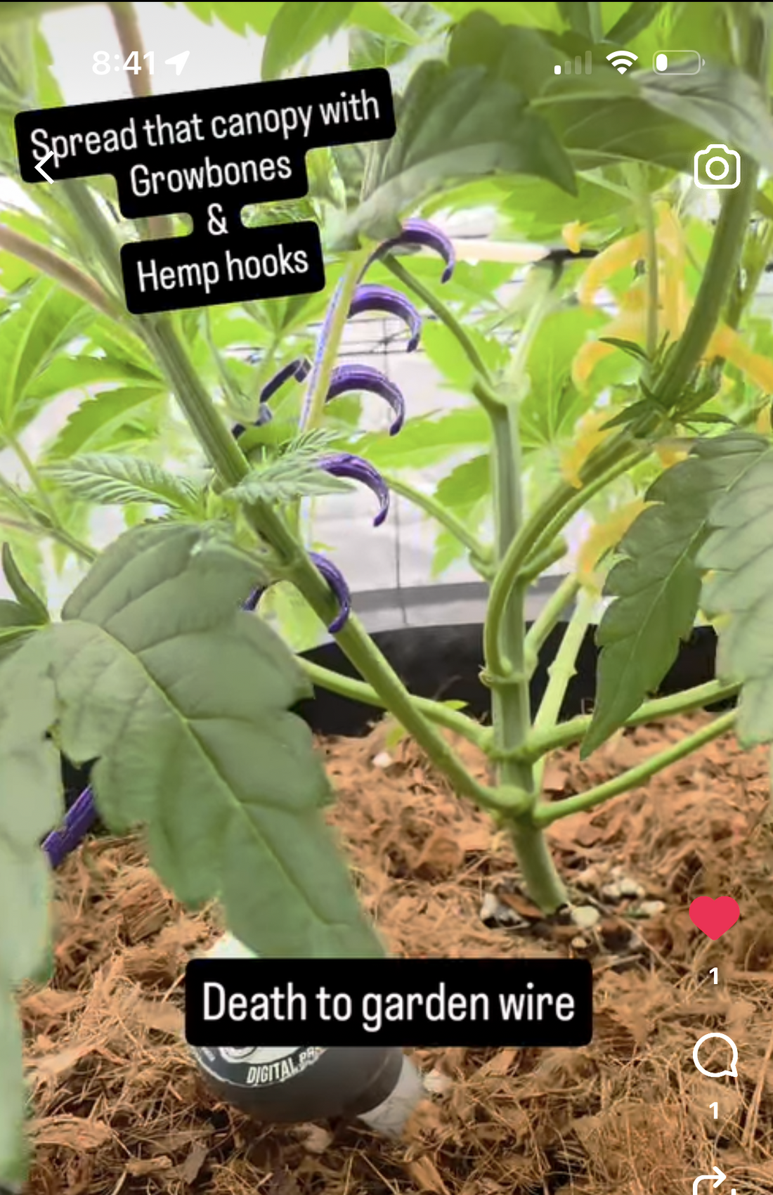 customer spotlight #1 – typical HempHooks LST