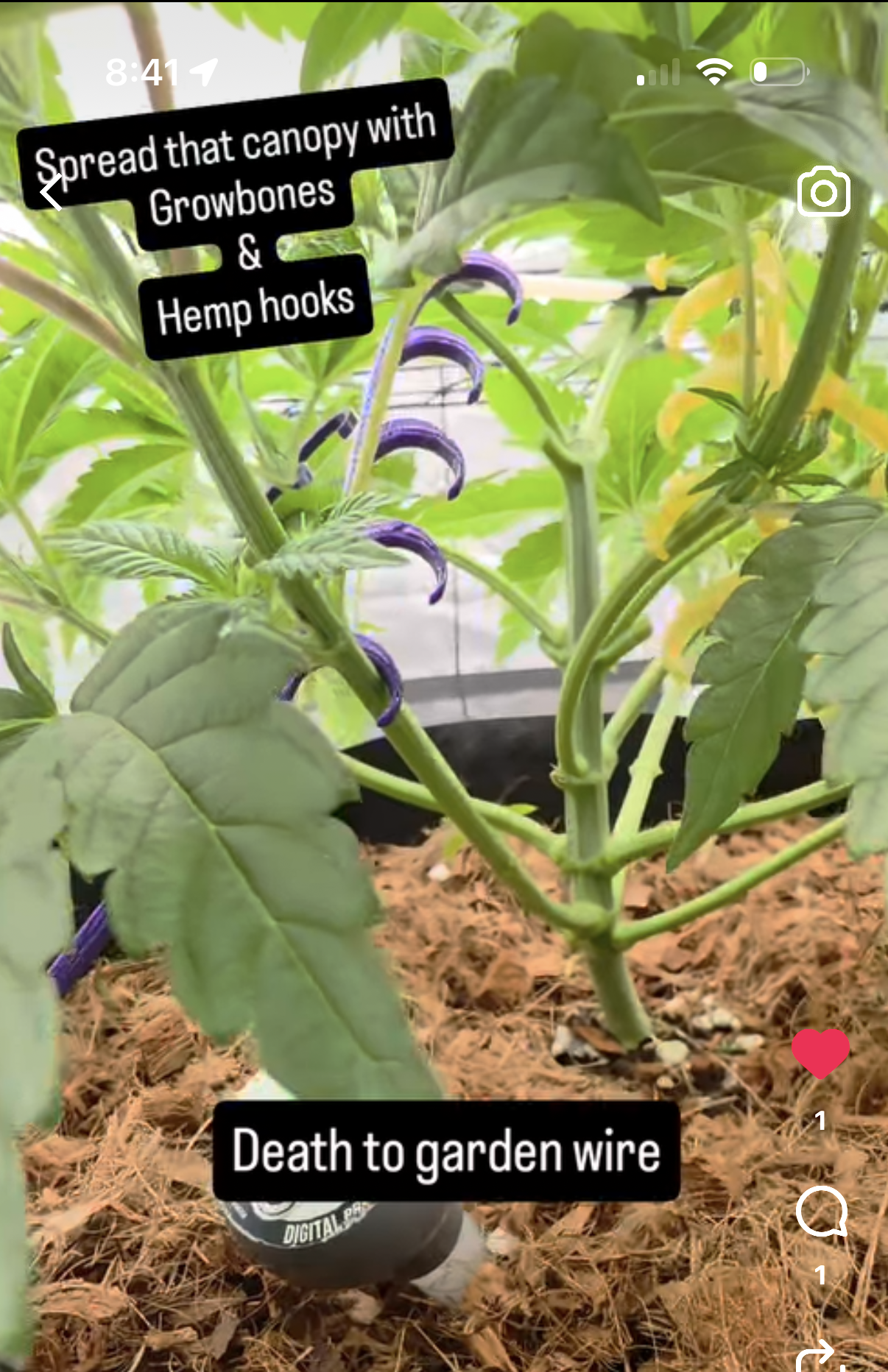 customer spotlight #1 – typical HempHooks LST
