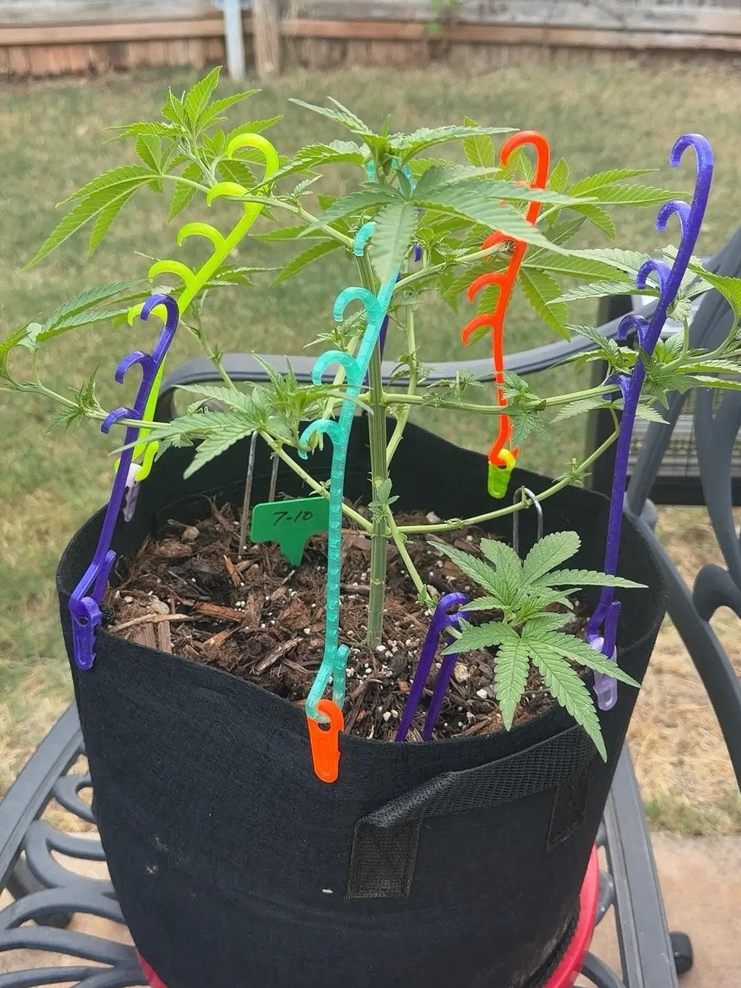customer spotlight #8 - oklahoma rainbow training 🌈