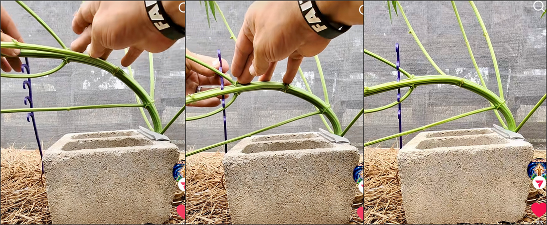 customer spotlight #2 – Outdoor King showing how these can work outdoors