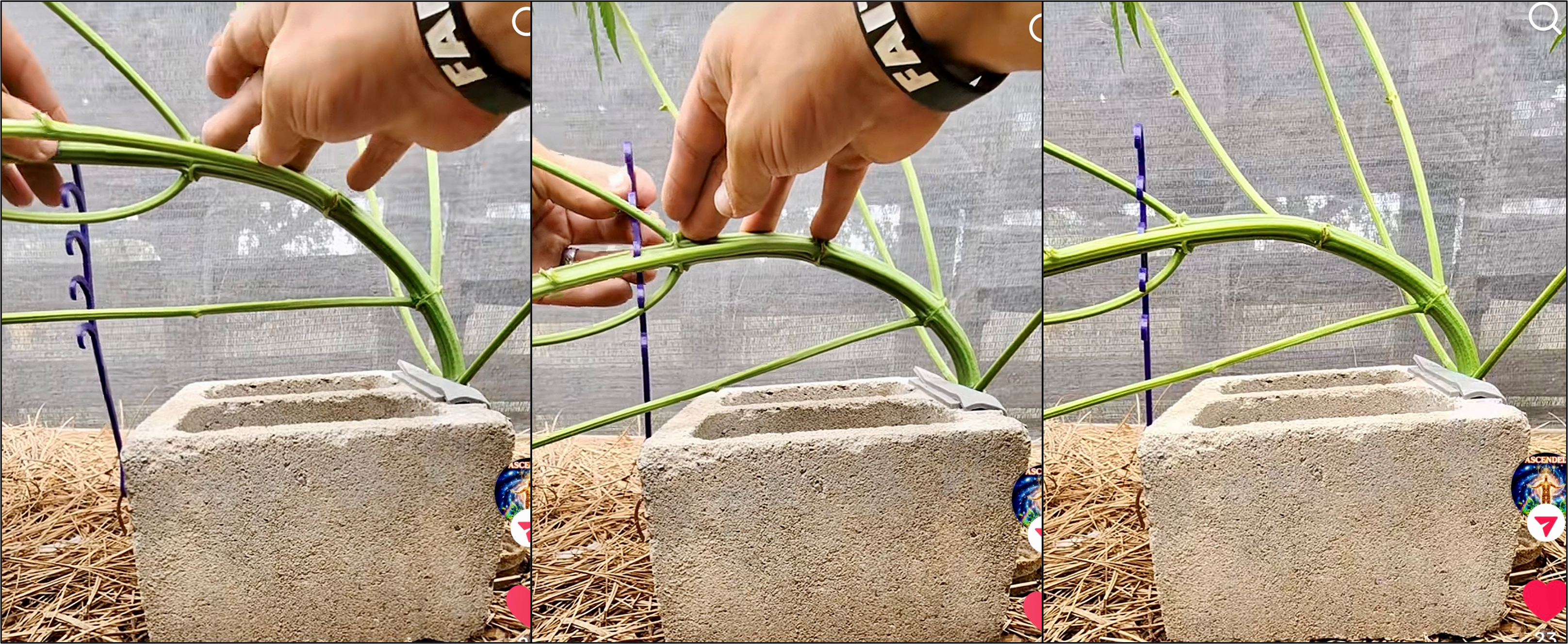 customer spotlight #2 – Outdoor King showing how these can work outdoors