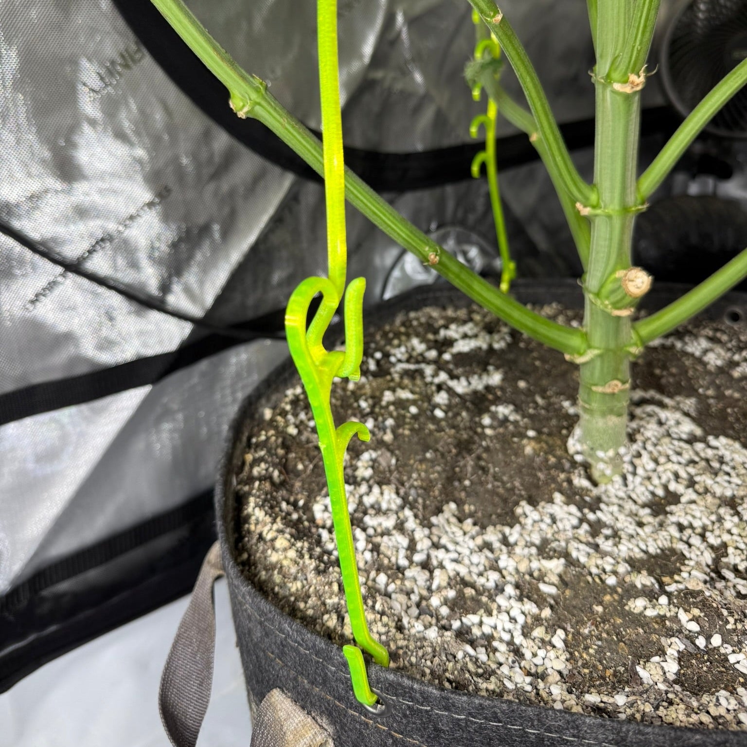 Gamme Green HempHooks LST Mixpack