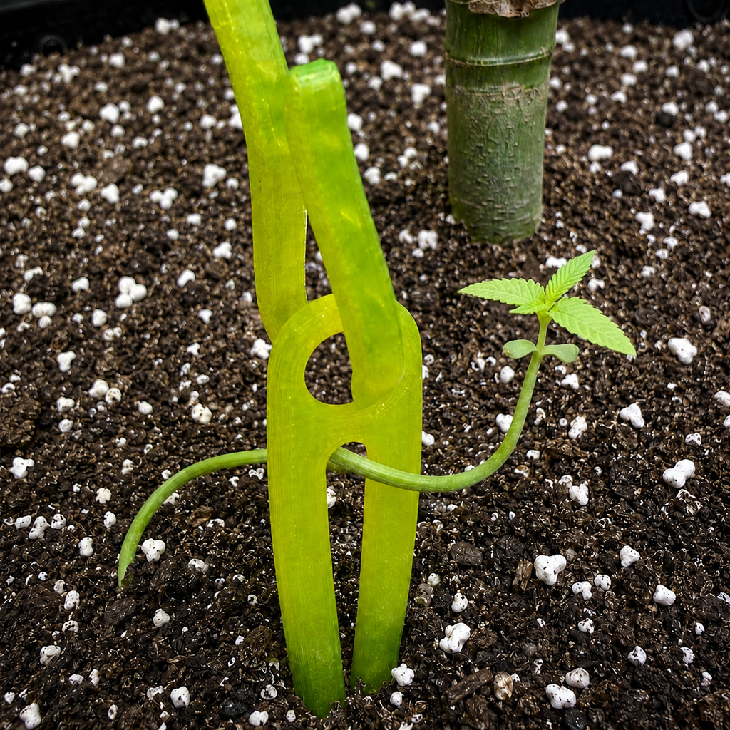 Grounder with HempHook installed and sprout growing up through slot