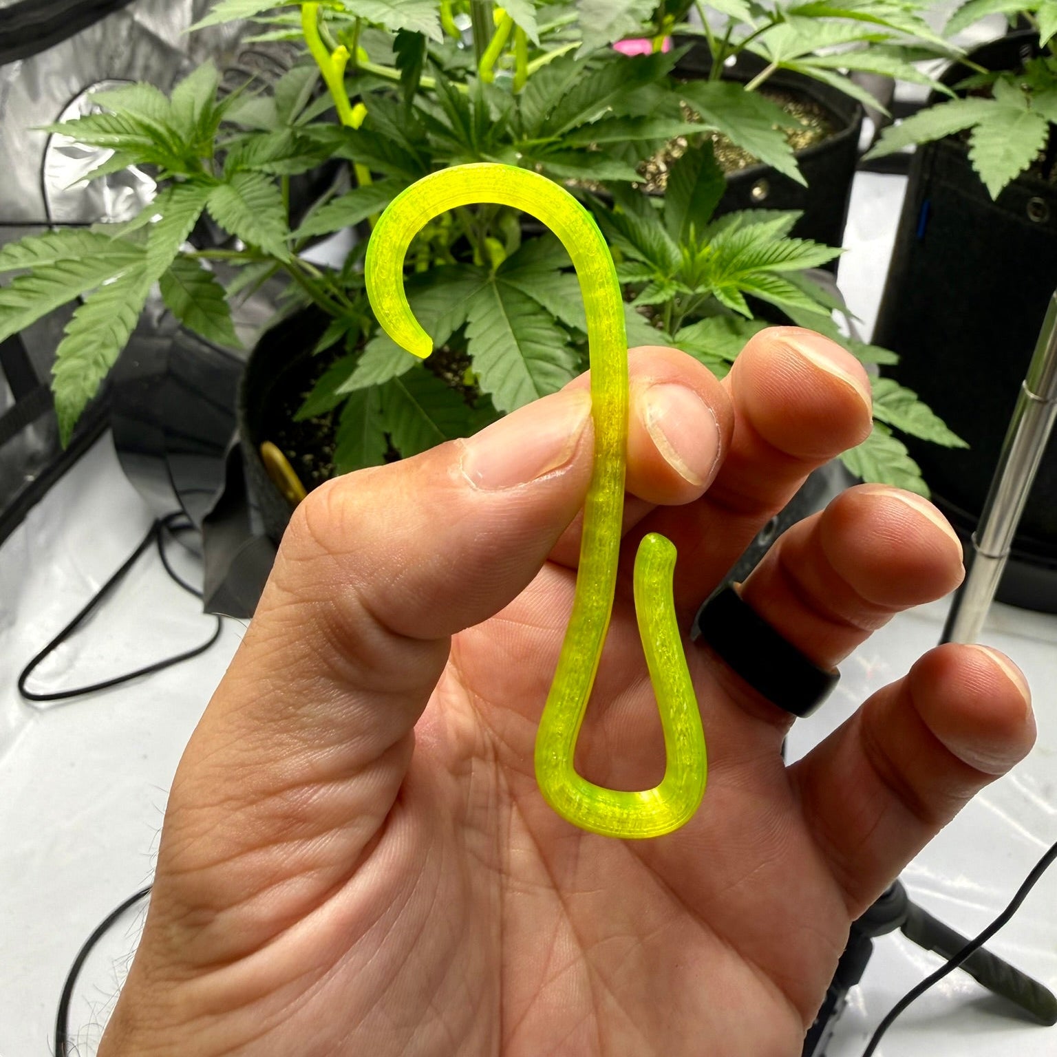 A hand holding a translucent gamma green s-curved hook-shaped item, with potted green plants and grow lights in the background.