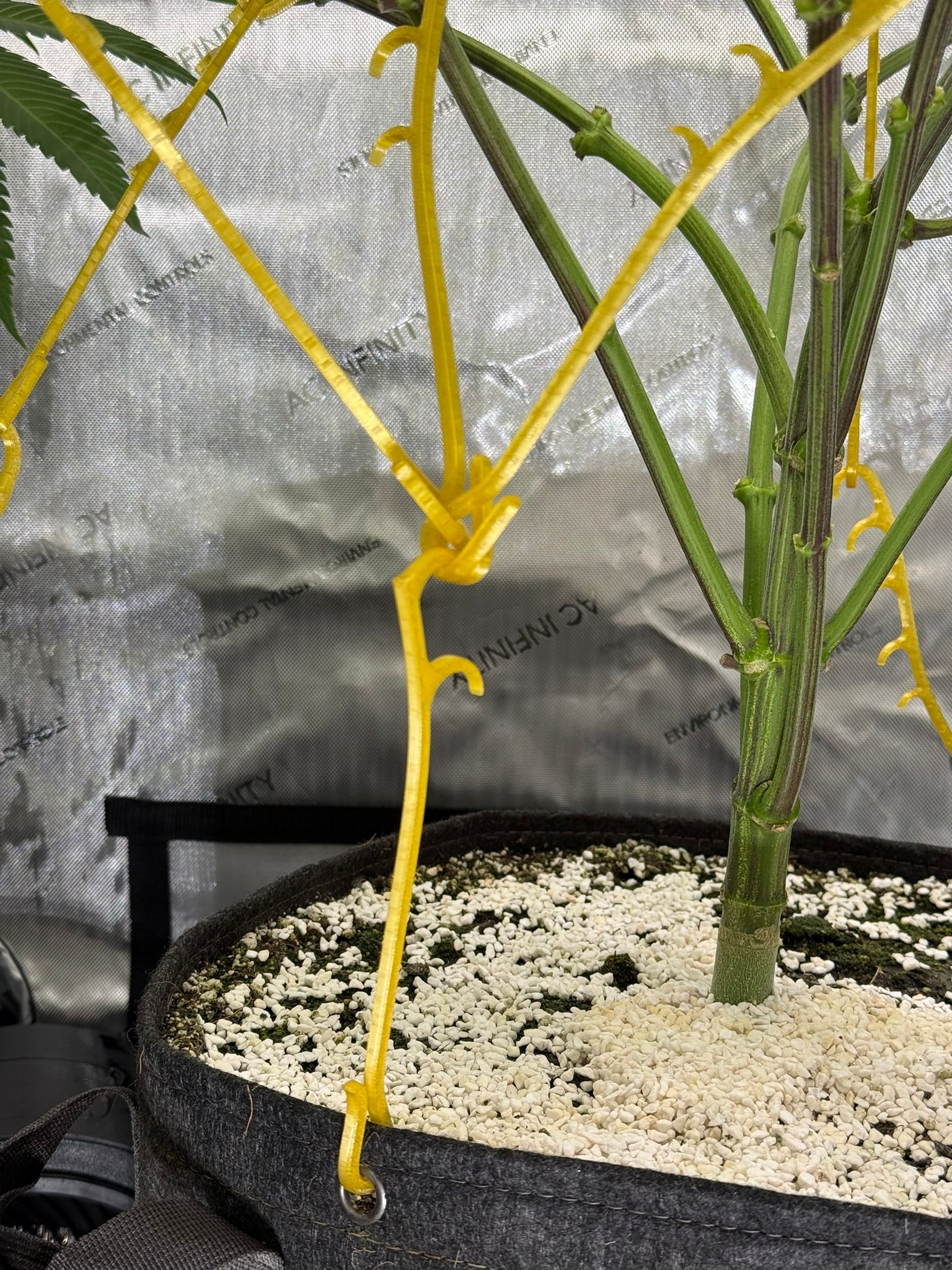 HempHooks — Fabric Pot LST Device 9" + 6"| Grommet Anchor Hook | Patent Pending