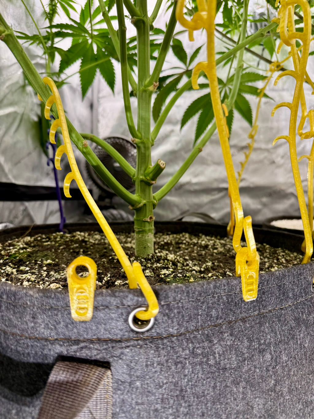 HempHooks Rim Clips 8-Packs | Fabric Pot LST Adapter | No Grommet Required | 3D Printed | Patent Pending