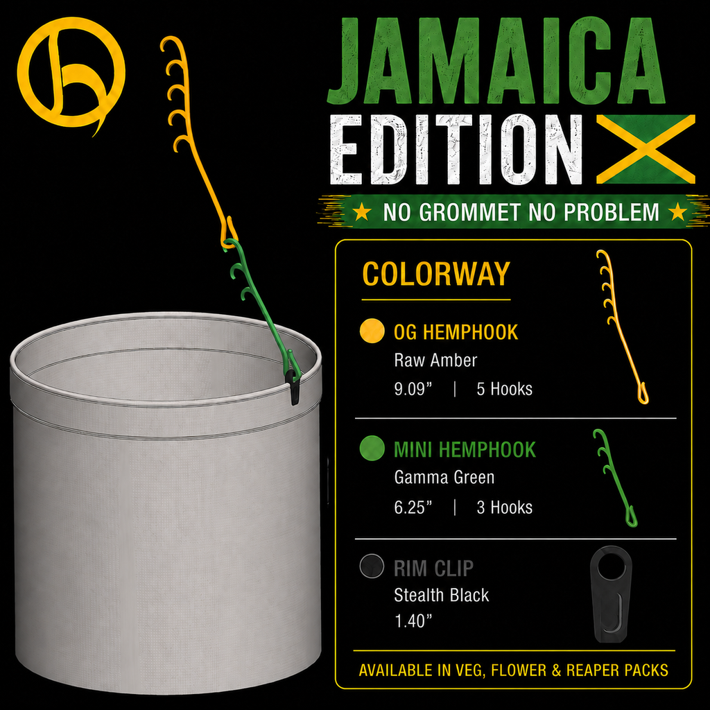 Poster for NGNP Jamaica Edition