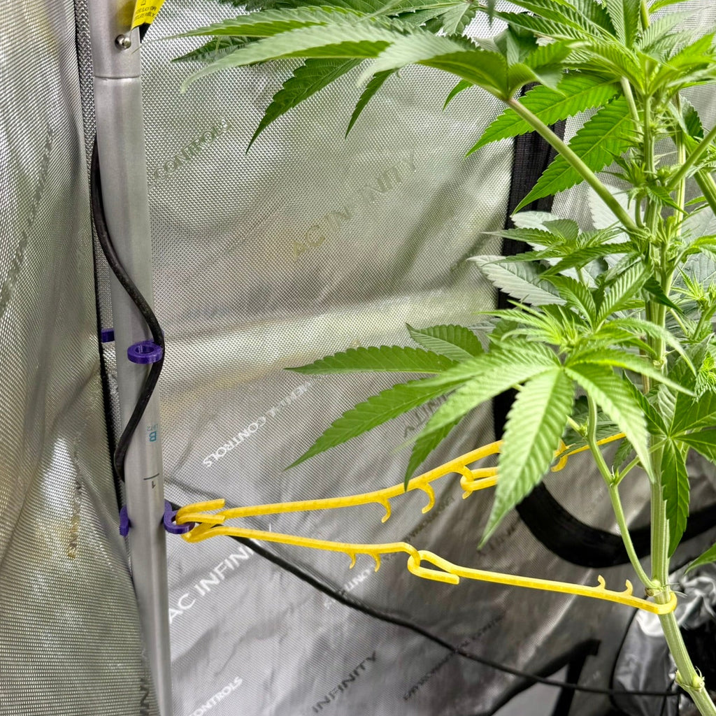 pole clip with two hemphook OG's