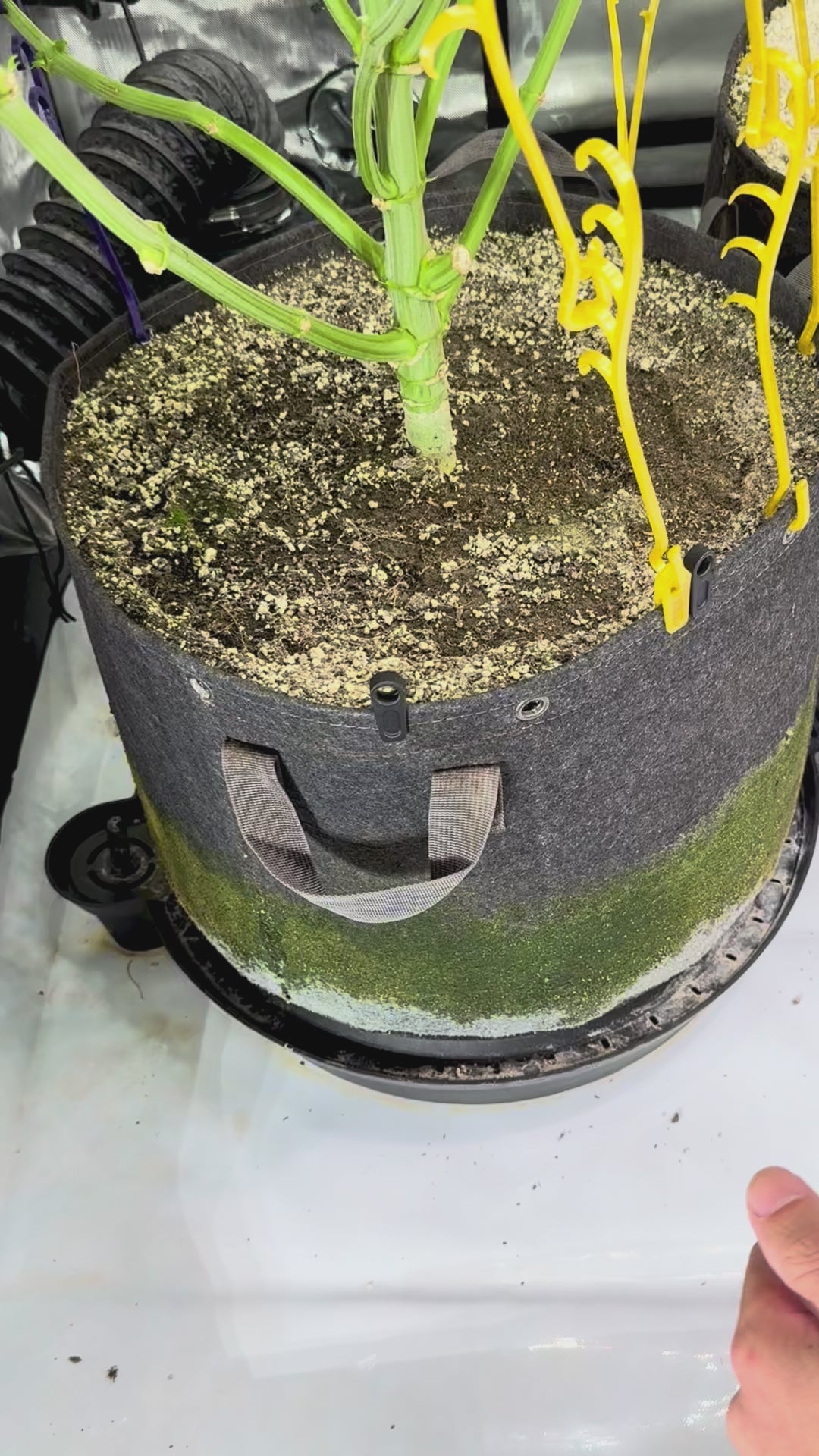 No Grommet No Problem Pack | LST Clips + Rim Clips | 3D Printed | Patent Pending