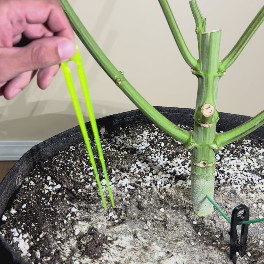 HempHooks Grounder Color-Matching Starter Pack | Complete Plant Training Kit
