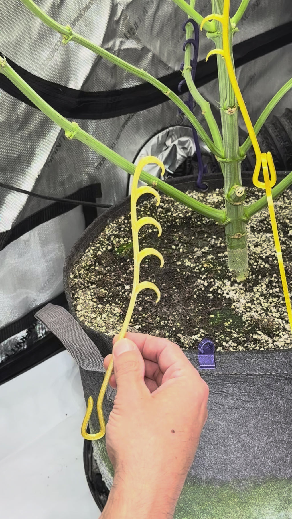 HempHooks Bulk-Packs | Reusable Fabric Pot LST Device | Patent Pending