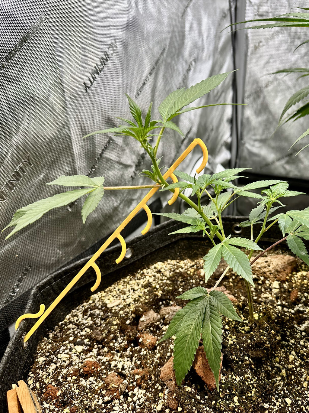 HempHooks Jamaican Edition NGNP Pack 🇯🇲 | LST Clips + Rim Clips | Patent Pending