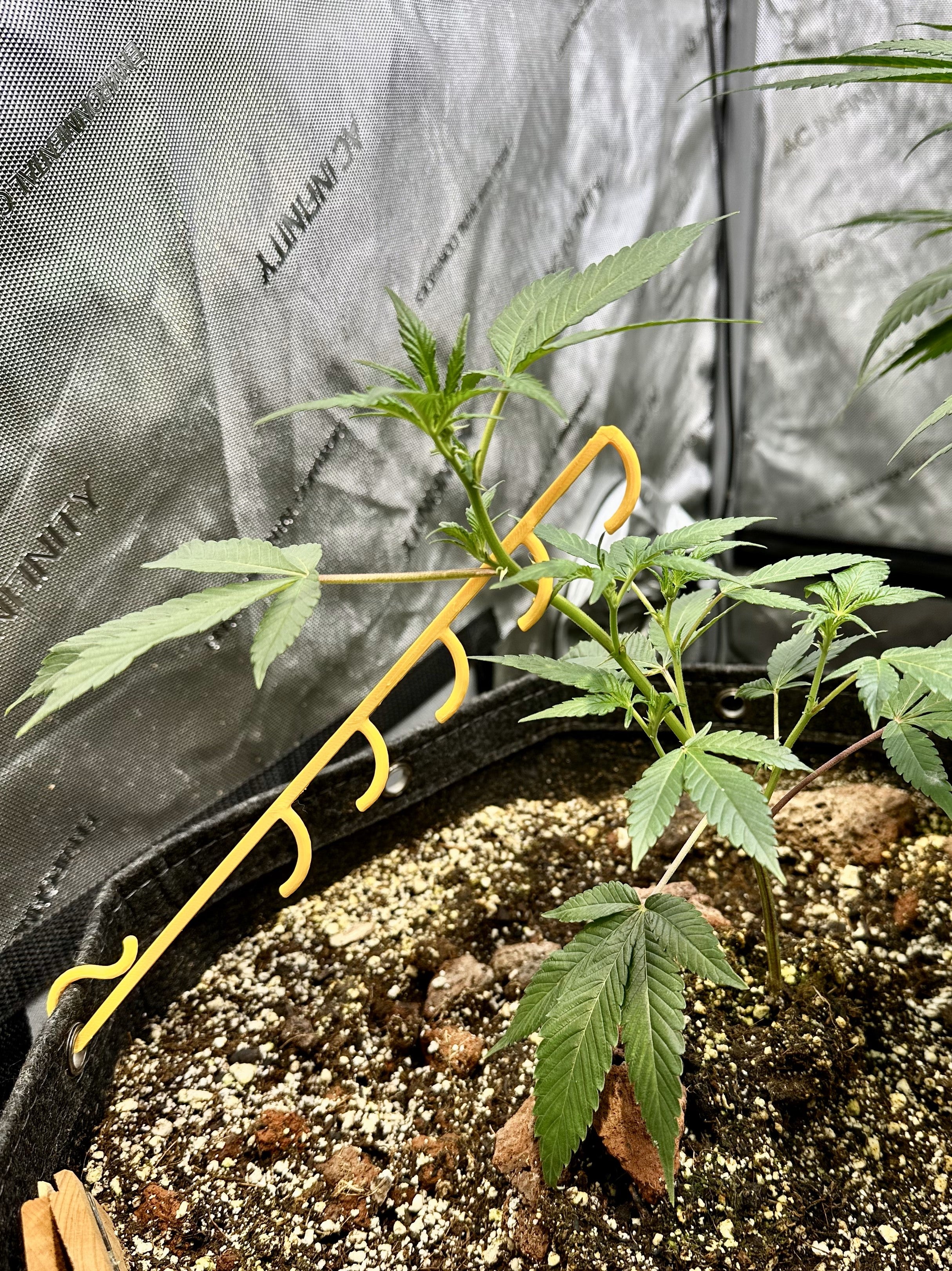 HempHooks Jamaican Edition NGNP Pack 🇯🇲 | LST Clips + Rim Clips | Patent Pending